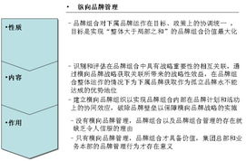橫向品牌管理 超越傳統縱向模式，以攝像及制作服務為例