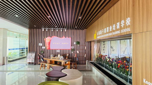 云南新子路職業(yè)培訓(xùn)學(xué)校 榮獲第二批職業(yè)技能等級(jí)認(rèn)定資格，深化應(yīng)用與技術(shù)服務(wù)新篇章