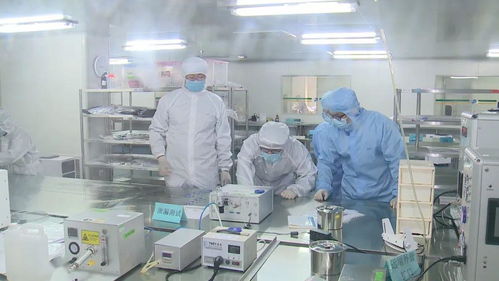 高淳區2019年度區長質量獎揭曉 四家企業脫穎而出，醫療器械研發成亮點